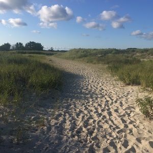 Meet your Posher, Alicia